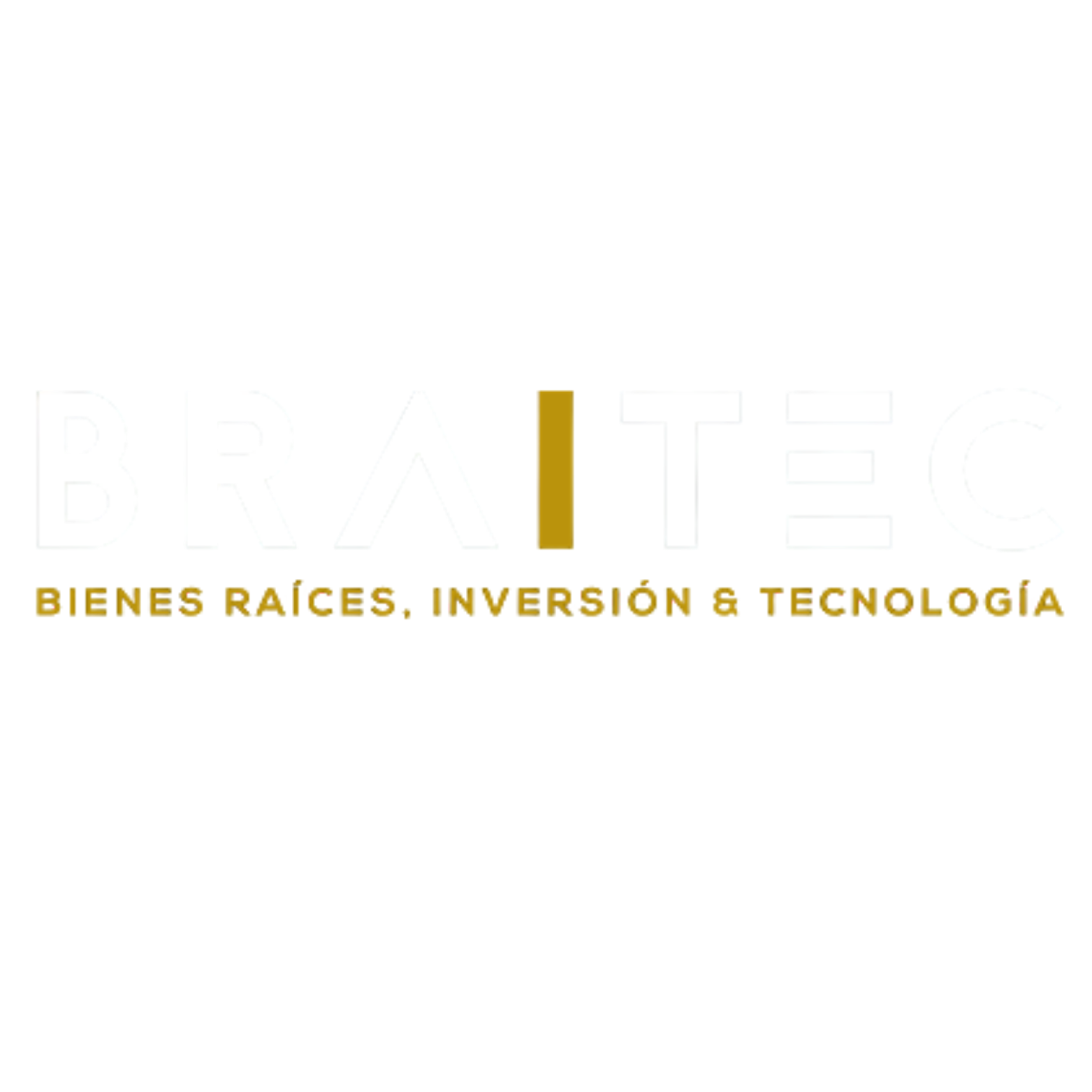 Braitec Logo